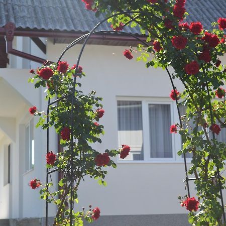 Casa Maria Guest House Prundul Birgaului ภายนอก รูปภาพ